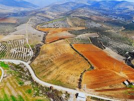 Salihlide Satılık 27893 M2 Zeytin Ve Meyvecilik İçin Uygun Tarla