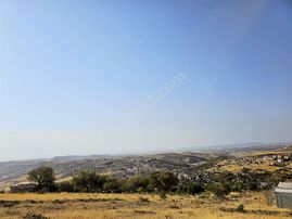 Hakev'den Yumru Tepede Hakim Bir Noktada 3149 Metre Tarla