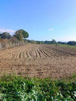 Aydın Nazilli Durasallı Mah Satılık Arsa