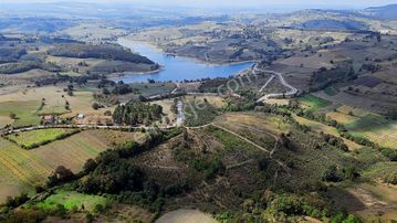 Tarcanlar'dan İzmit Güvercinlik'te Satılık 18 Dönüm Fındıklık