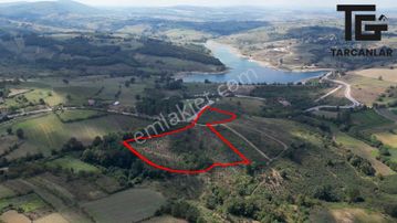 Tarcanlar'dan İzmit Güvercinlik'te Satılık 18 Dönüm Fındıklık