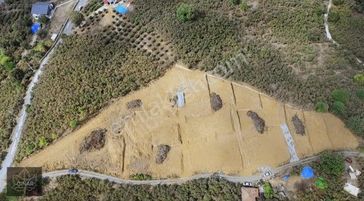 Projeli Ruhsatlı Harları Ödenmiş İmarlı Parseller