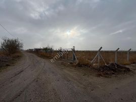Öz Gaye Emlaktan Develi Sindelhöyük Kadanbaş Mevkindev Satılık Hobi Bahçesi