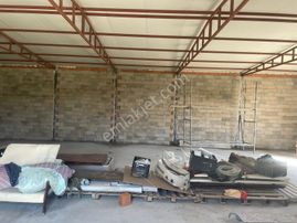 Güzelbahçe Ana Yola Yakın Kiralık 5 Dönüm Tarla