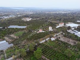 Bahtılıda Ana Cadde Üzerinde 5877 M2 Arsa İçinde Müstakil Ev