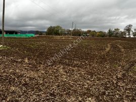 Akgün Kurumsaldan Atakum Alanlı'da 704 M2 Fırsat Satılık Arsa