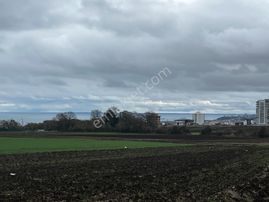 Akgün Kurumsaldan Atakum Alanlı'da 704 M2 Fırsat Satılık Arsa