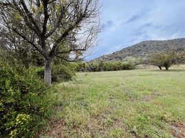 Ekin Grouptan Yapraklı Merkeze 100 Metre 8.365 M² Yatırımlık