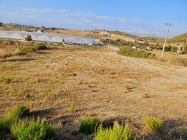 Karaöz Mahallesinde Satılık Tek Tapu Tarla