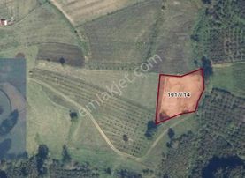 Kaynarca Uğurlu Köyü Satılık Kuyusu Ve Yolu Açılmış Tarla Acill!