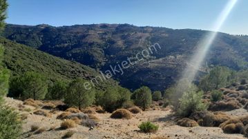 Güzelbahçe Yaka Mahallesi 6523 M2 Deniz Ve Doğa Manzaralı Tarla