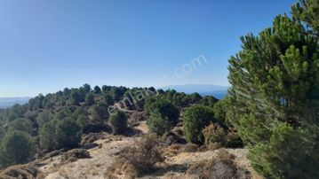 Güzelbahçe Yaka Mahallesi 6523 M2 Deniz Ve Doğa Manzaralı Tarla