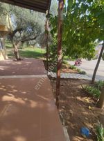 Nazilli Yıldıztepe Mah. Kiralik İşyeri /ofis/depo 100 M2 Masrafsız