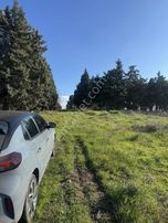 Tekırdağ Çorlu Önerlerde Satılık Arsa