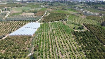 Bölgenin En Uygunu Otoban Bağlantsına 2 Km 7.660 M2 Şeftali Bah.