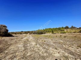 Antalya Manavgat Taşağıl Çardak Mahallesi Satılık Tek Tapu Tarla