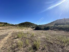 Antalya Manavgat Taşağıl Çardak Mahallesi Satılık Tek Tapu Tarla