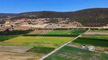 Megakentten Marmaracıkta Resmi Tapulu Hobi Bahçesi
