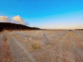 Megakentten Marmaracıkta Resmi Tapulu Hobi Bahçesi