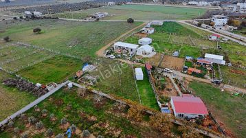 Menderes Develi'de 277 M2 Tapudan Satış Hobi Bahçesi