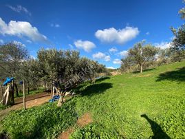 Balıkesir Havran Kalabakta 707 M² Satılık İmarlı Arsa