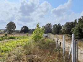 Küçükyoncalıda Satılık 1376m2 Tek Tapu Tarla İçinde Hazır Bahçe