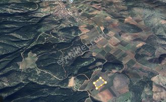 Mir'den Manisa Gölmarmara Da Satılık Zeytinlik Ve Üzüm Bağı