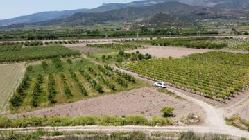 Sakarya Pamukova Satılık Emsalsiz Resmi Yolu Var Su Kanalı Var Köşe Parsel Köye Çok Yakın