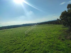 Uzun Emlak'tan Yunusemre Karakılınçlı'da 17 Dönüm Tarla