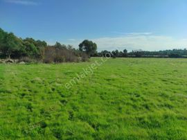 Uzun Emlak'tan Yunusemre Karakılınçlı'da 17 Dönüm Tarla