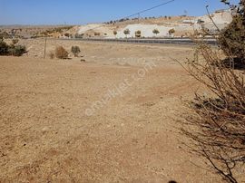 Mardin Mazıdağı Yukarıkonak'ta 7.445m2 Satılık Tarla