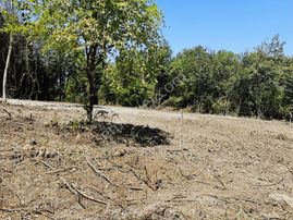 Sarayköyde Deniz Doğa Manzaralı 2 Dönüm Fırsat Tarla