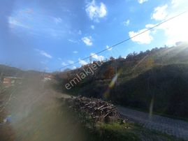 Aydın Nazilli Aşağıyakacık Mah Satılık