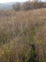 Parlar Emlaktan Satılık Tarla Şarköy Kirazlı Mahallesinde 1.300 Metre Kare