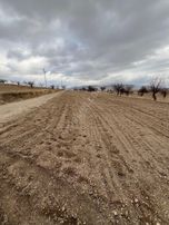 Öz Gaye Emlaktan Develi Çomaklı Yapraklıburun Mevkiinde Satılık Bağ Yeri