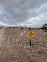 Öz Gaye Emlaktan Develi Çomaklı Yapraklıburun Mevkiinde Satılık Bağ Yeri