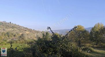 Samsun Un Gelişmekte Olan Muhitinde Yatırımlık Fındık Bahçesi