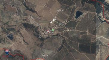 103manisa Köprübaşı Borlu Mah. Satılık Fırsat Tarla