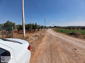 Qzen Gayrimenkulden Oğlananasıda 1250 M2 Tek Tapu Tarla