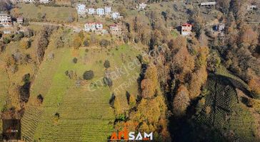 Artsam Grup'tan Yavuz Köyünde 2900m² Yatırımlık Arsa