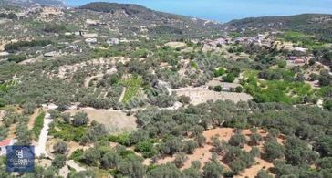 Eğlenhoca Köyü 1.033 M2 Satılık Tarla