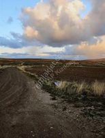 Satılık Kök Tek Tapu Tarla Ankara / Sincan / Ücret Mahallesi