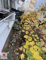 Denize 150 Metre Bahçeli 1+1 Gerçek İlan