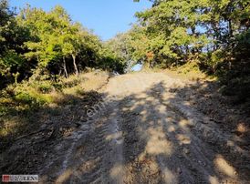 Taraklı Dışdelelerde Orman Cepheli Doğa İçinde Fırsat Arazi!!!