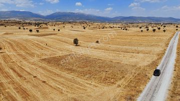 Yatırımlık Büyükköy.. Bozova Mah Yakını Kadastro Yol Cepheli