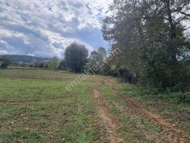 Kocaeli İzmit Şahinler Mh Satılık Araç Takaslı Fırsat Tarla