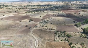 Konya / Akören / Tülce Mahallesinde 1.595 M² Müstakil Tapulu Bağ