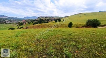 Tunceli İsmet İnönü'de Yatırımlık Fırsat Arsalar