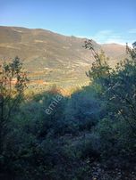 İznik Dereköy Satılık Tarla