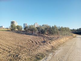 Sahibinden Kelepir Kupon Arsa